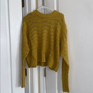 American Eagle Cropped Sweater